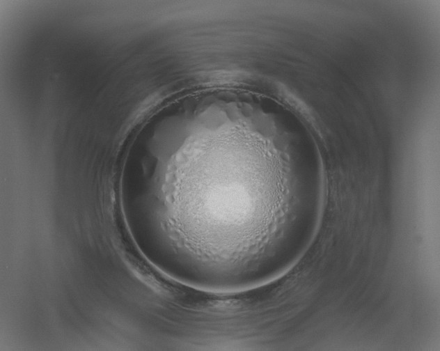 X0000061100059200511241627