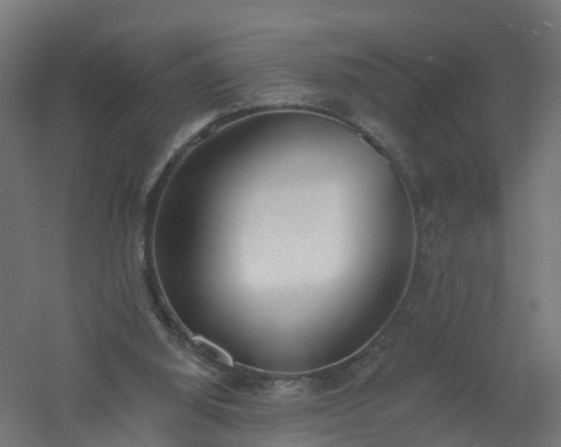 X0000061100060200511241627