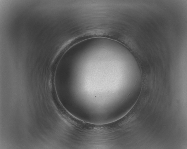 X0000061100064200511241627