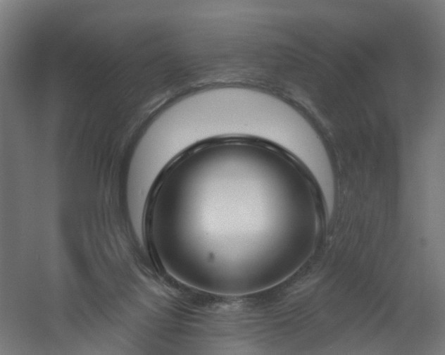 X0000061100068200511241627