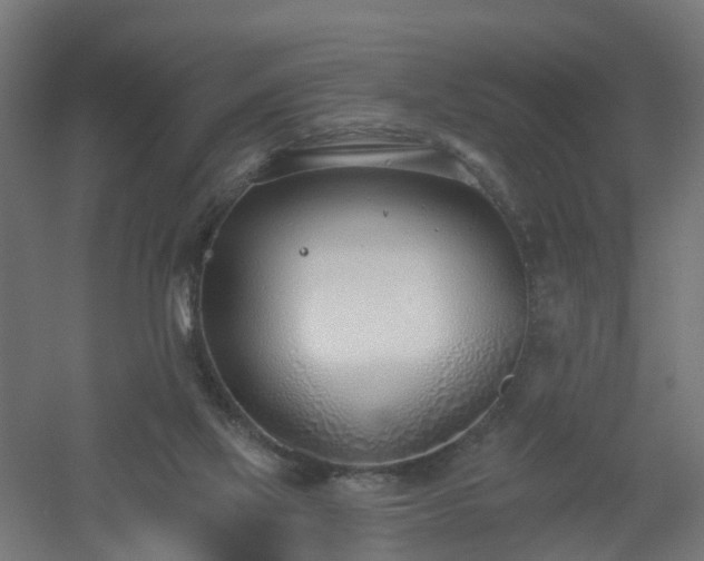 X0000061100069200511241627