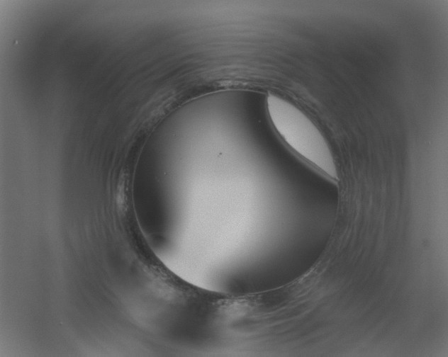X0000061100074200511241627