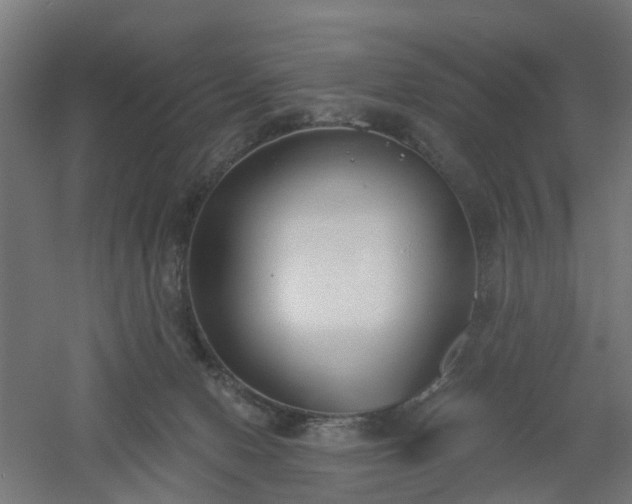 X0000061100078200511241627