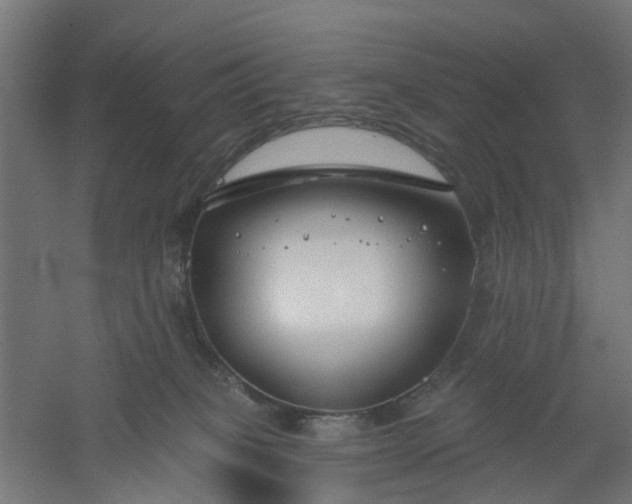 X0000061100085200511241627