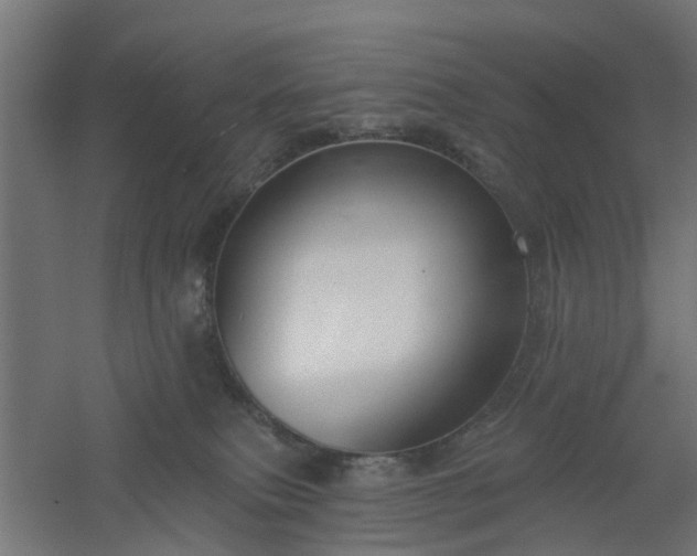 X0000061100087200511241628