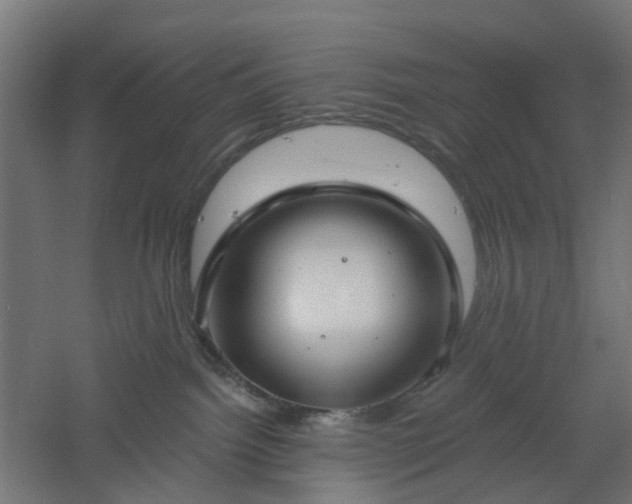 X0000061100092200511241628