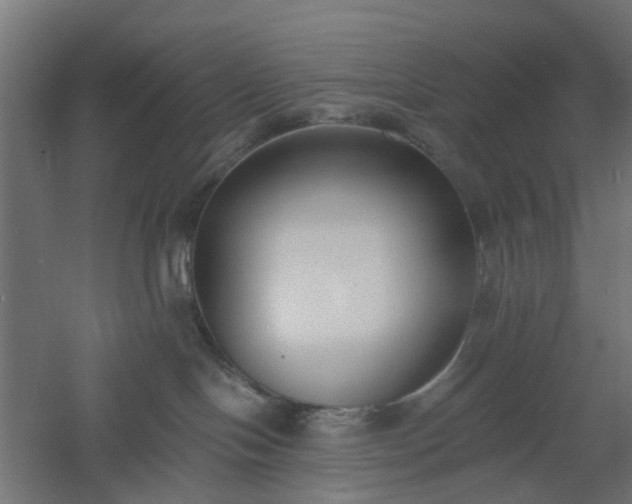 X0000061100094200511241628