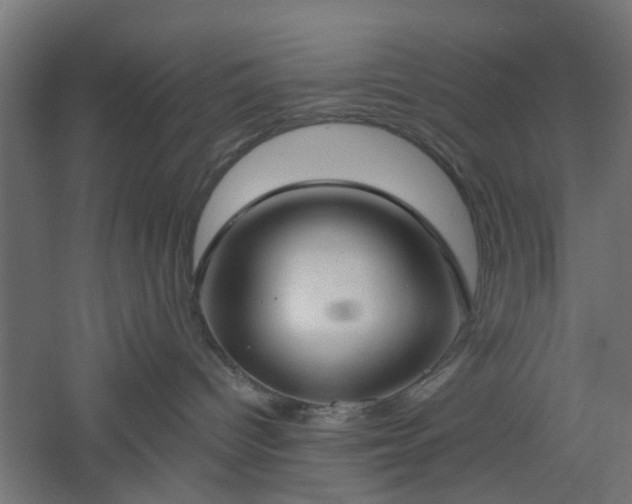X0000061100096200511241628