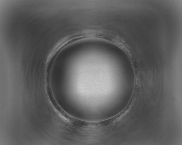 X0000061100101200511241627