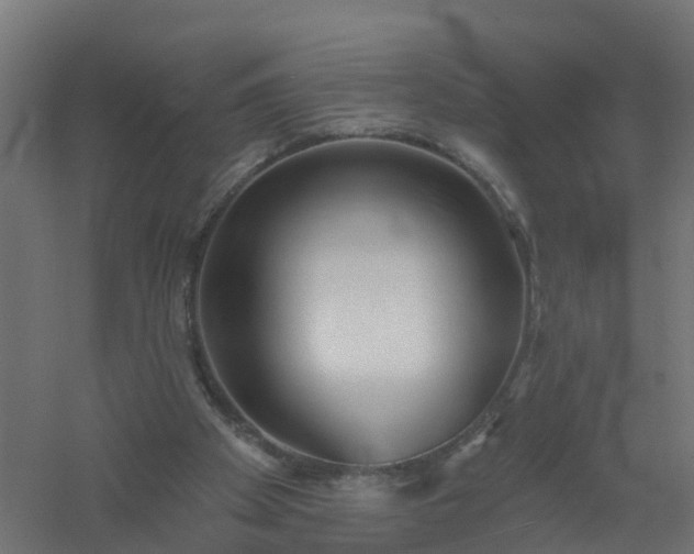 X0000061100105200511241627