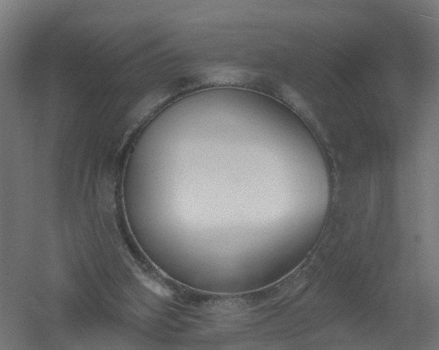 X0000061100106200511241627