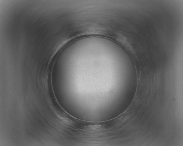 X0000061100108200511241627