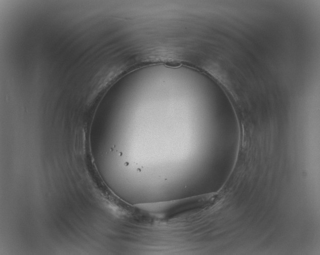 X0000061100109200511241627