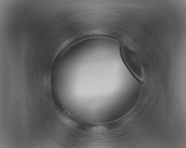 X0000061100112200511241627
