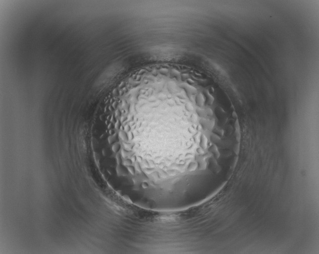 X0000061100114200511241627