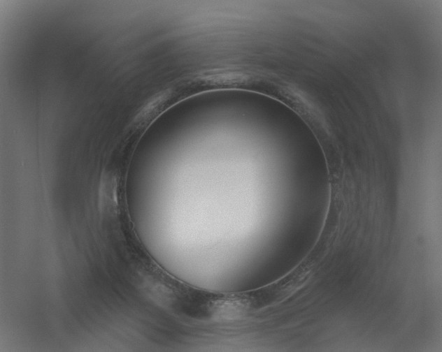 X0000061100115200511241627