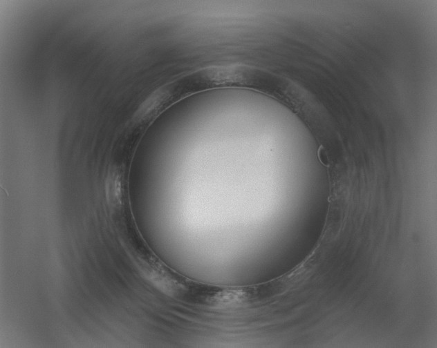 X0000061100124200511241626