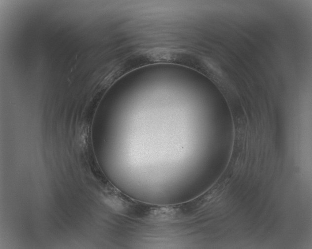 X0000061100125200511241626