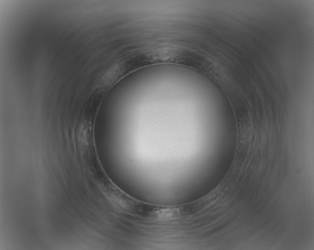 X0000061100126200511241626
