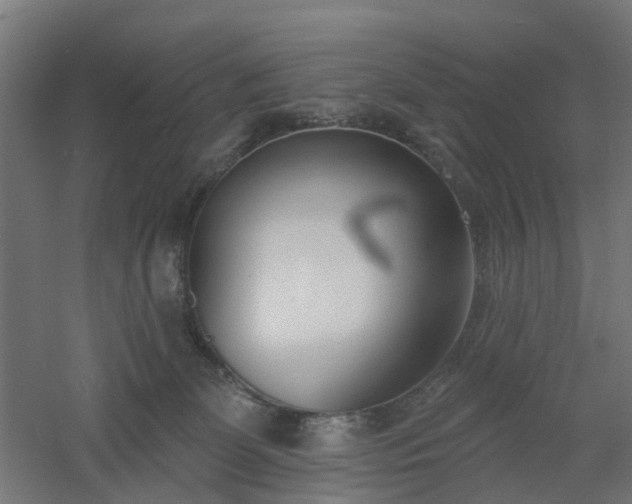 X0000061100131200511241626