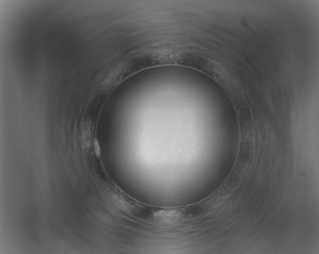 X0000061100133200511241626