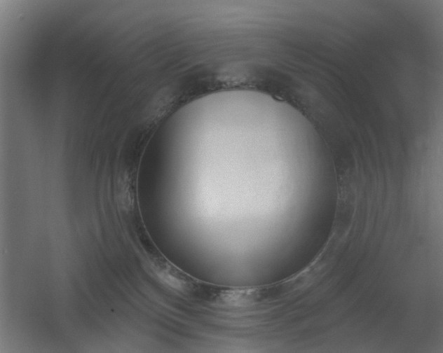X0000061100136200511241626
