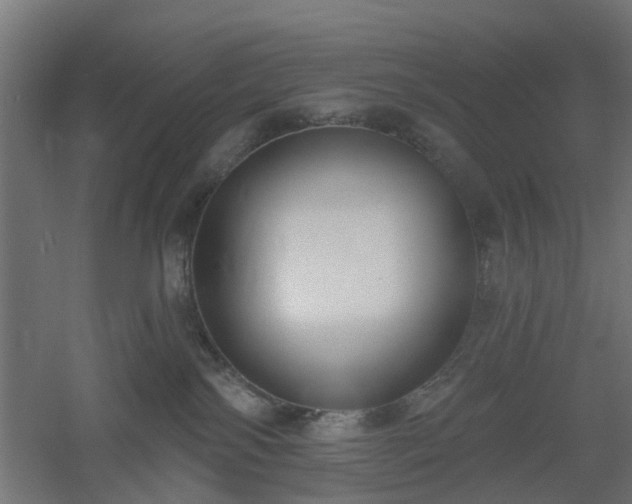 X0000061100138200511241626