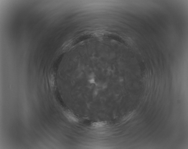 X0000061100139200511241626