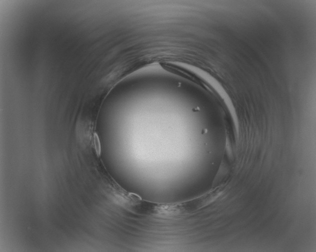 X0000061100141200511241626
