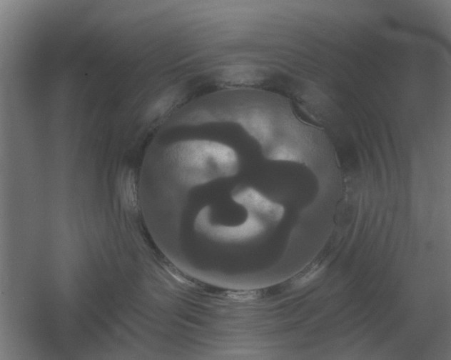 X0000061100143200511241626