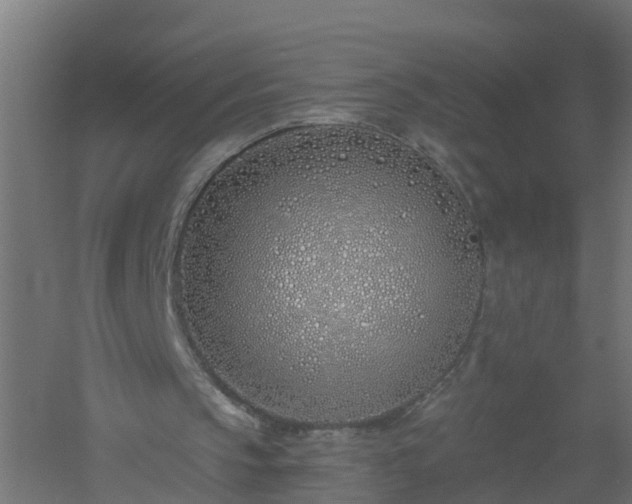 X0000061100145200511241625