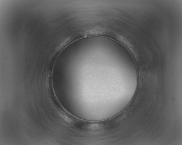 X0000061100153200511241625