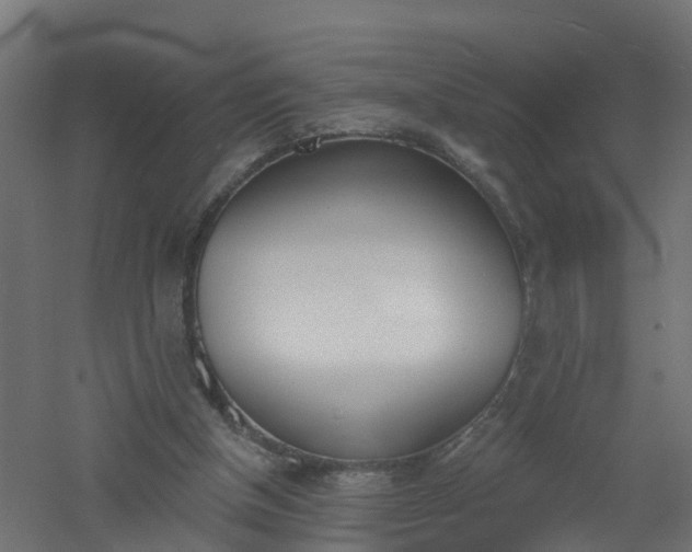 X0000061100154200511241625