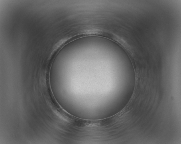 X0000061100155200511241625
