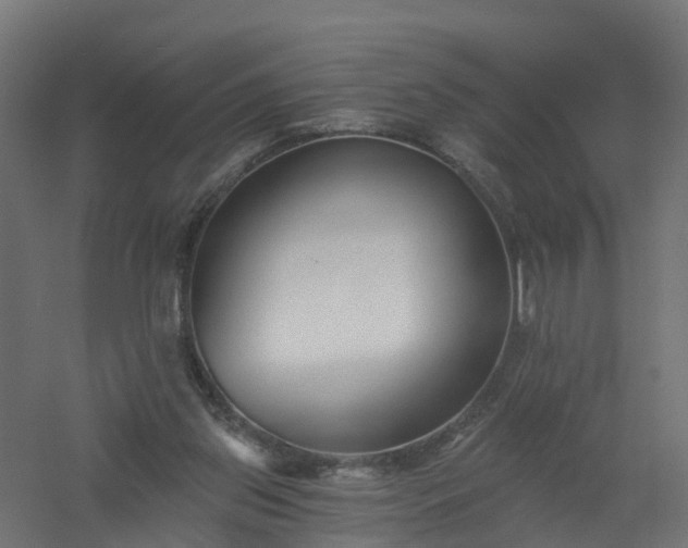 X0000061100157200511241625