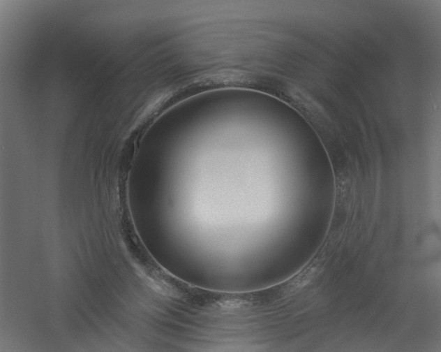 X0000061100158200511241625