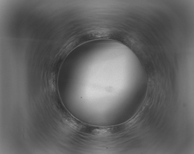 X0000061100170200511241626