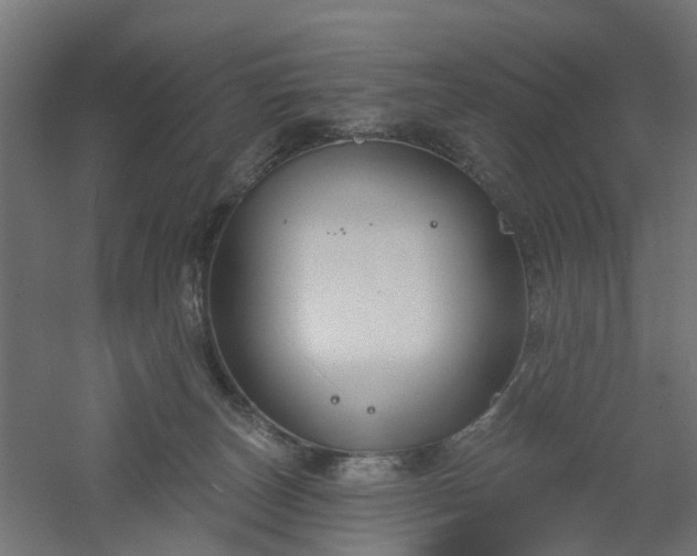 X0000061100179200511241626