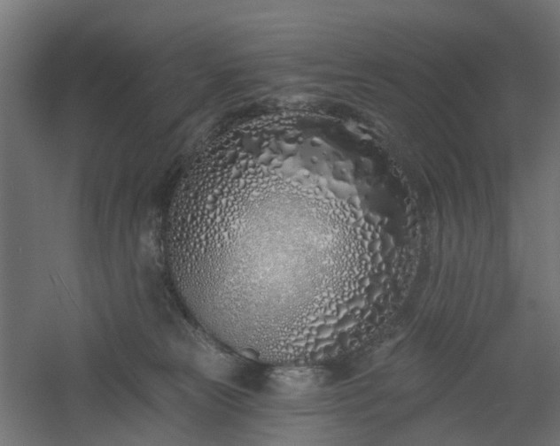 X0000061100181200511241626