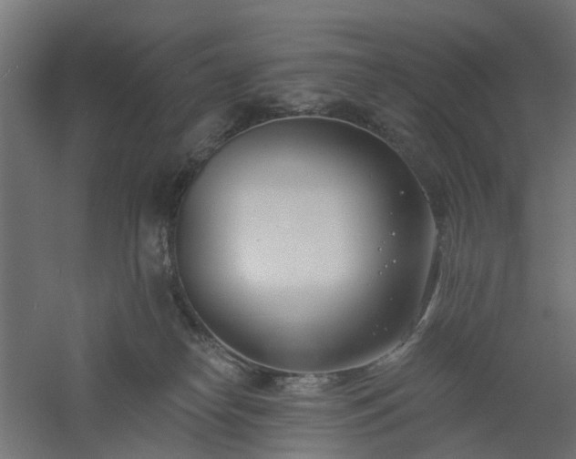 X0000061100182200511241626