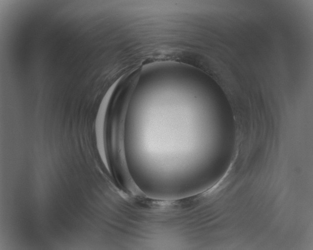 X0000061100192200511241626