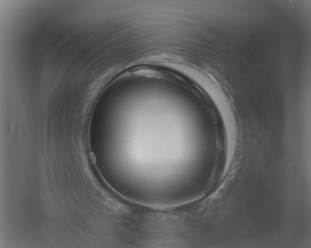 X0000061100193200511241625