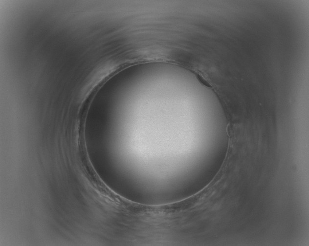 X0000061100194200511241625