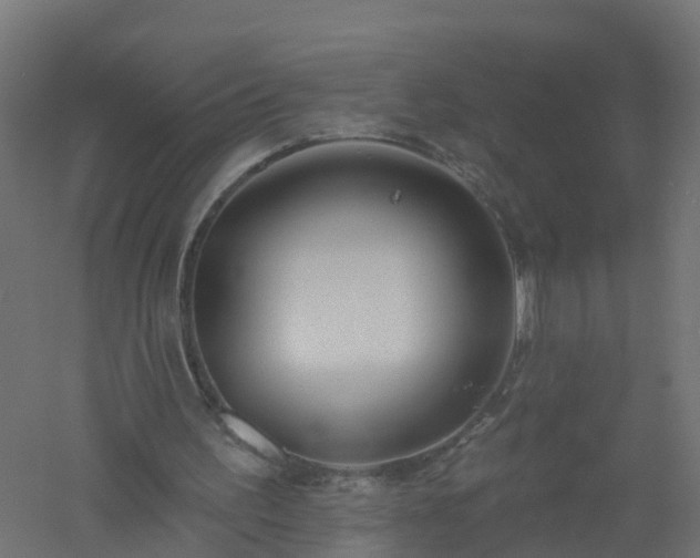 X0000061100195200511241625