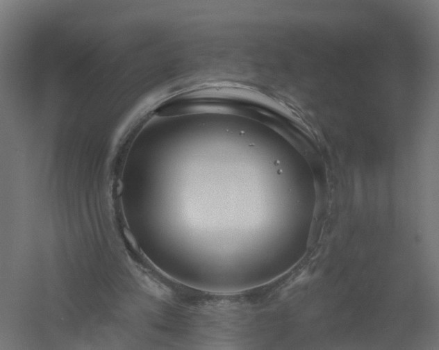 X0000061100197200511241625