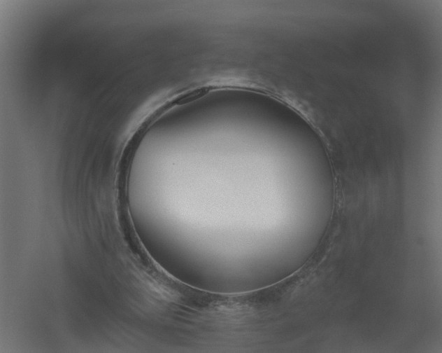 X0000061100199200511241625