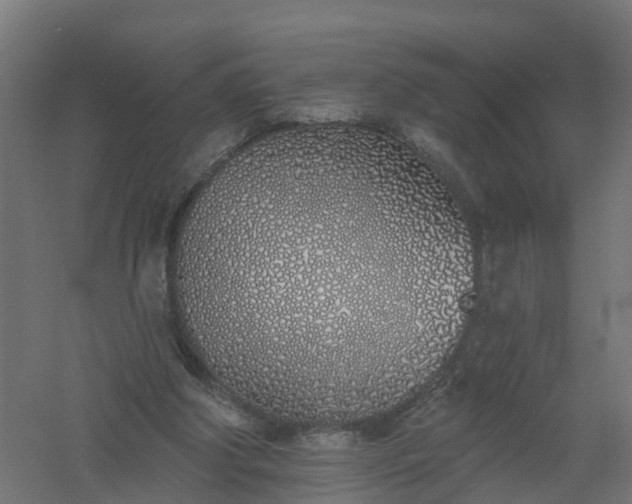 X0000061100202200511241625
