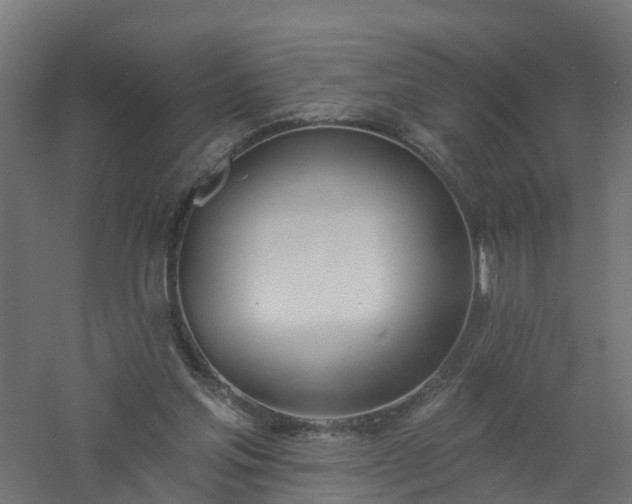 X0000061100205200511241625