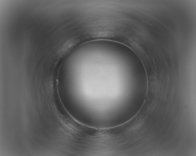 X0000061100207200511241625