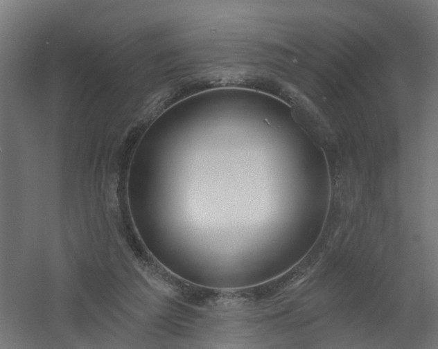 X0000061100209200511241625